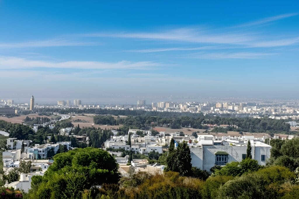 A panoramic view of Tunis featuring white and beige buildings, green trees in the foreground, and open fields. The sky is clear and blue with a few wispy clouds stretching across the horizon.